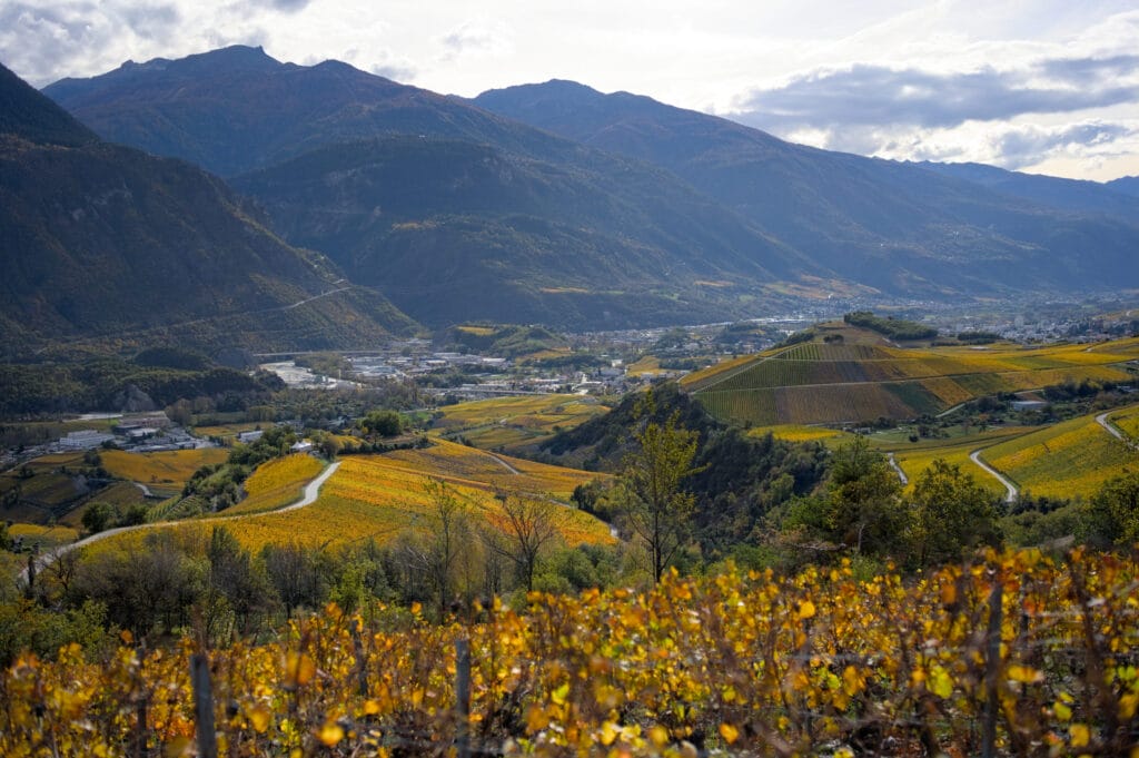 vue sur le valais central