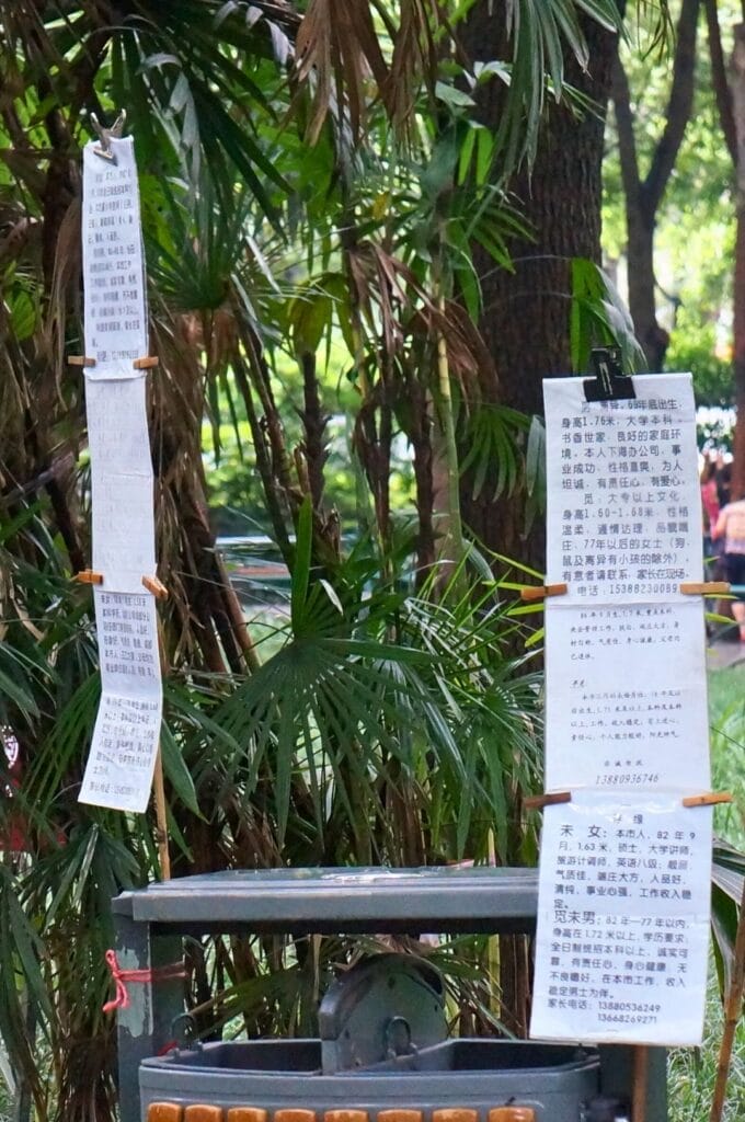 descriptions des chinois à marier suspendues dans les bambous de People's Park