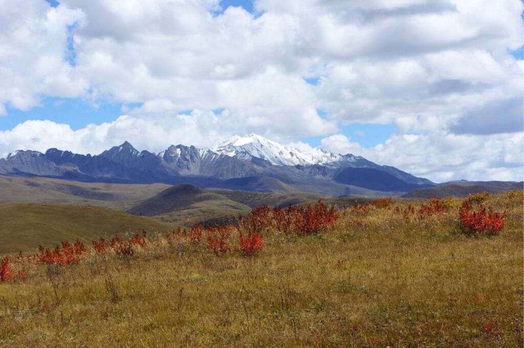 massif montagneux enneigé surplombant les plaines