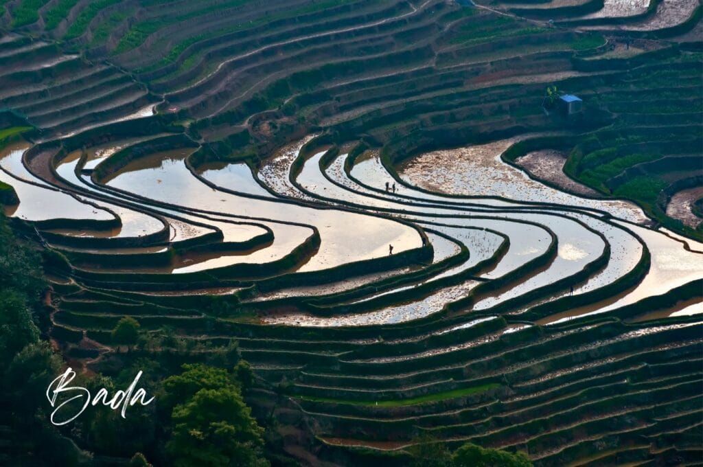 rizières au point de vue Bada à Yuanyang