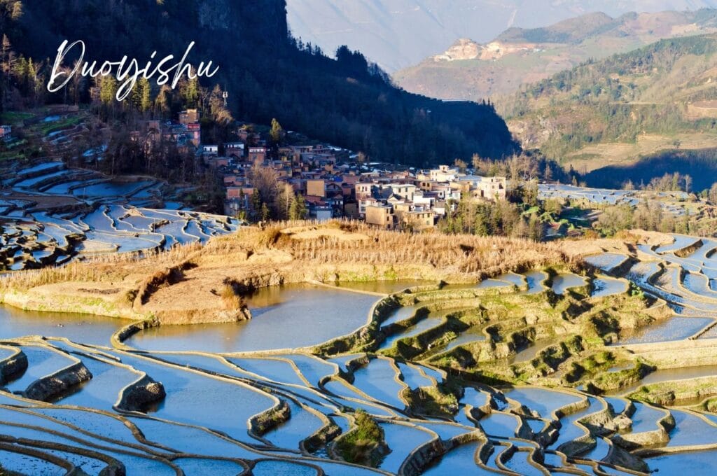 rizières de Duoyishu dans le district de Yuanyang