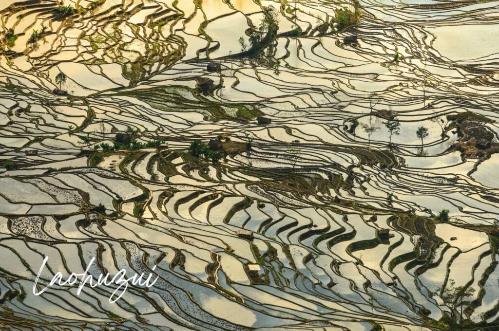 reflets du ciel et des dernières lueurs du soleil dans les rizières de Laohuzui