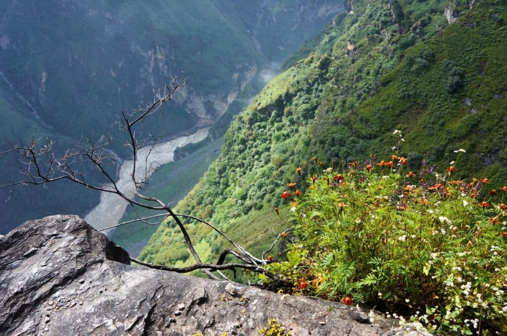 vue sur le canyon du saut du tigre