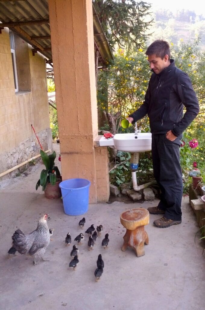 Benoit qui nourri les poules et poussins à côté de la Sunny guesthouse à Pugao
