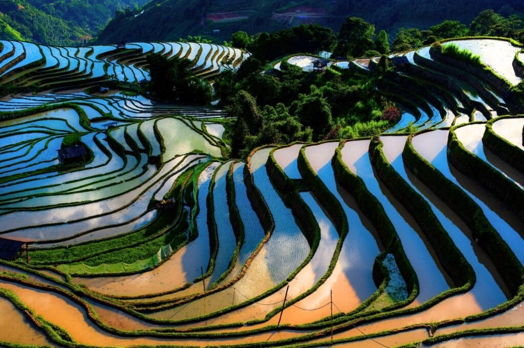 rizières des Hani de Honghe dans le Yunnan