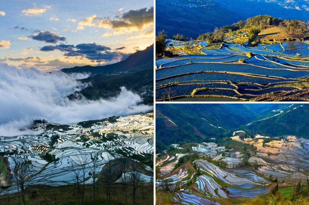 les terrasses inondées de Yuanyang