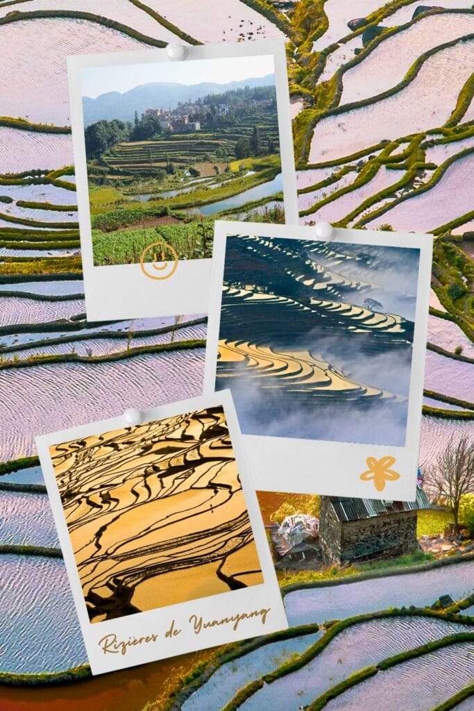 rizières de yuanyang dans le yunnan