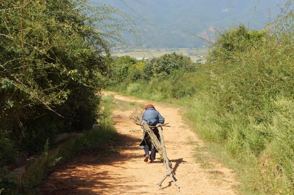Paysan traînant des morceaux de bois sur un chemin de la campagne de Shaxi