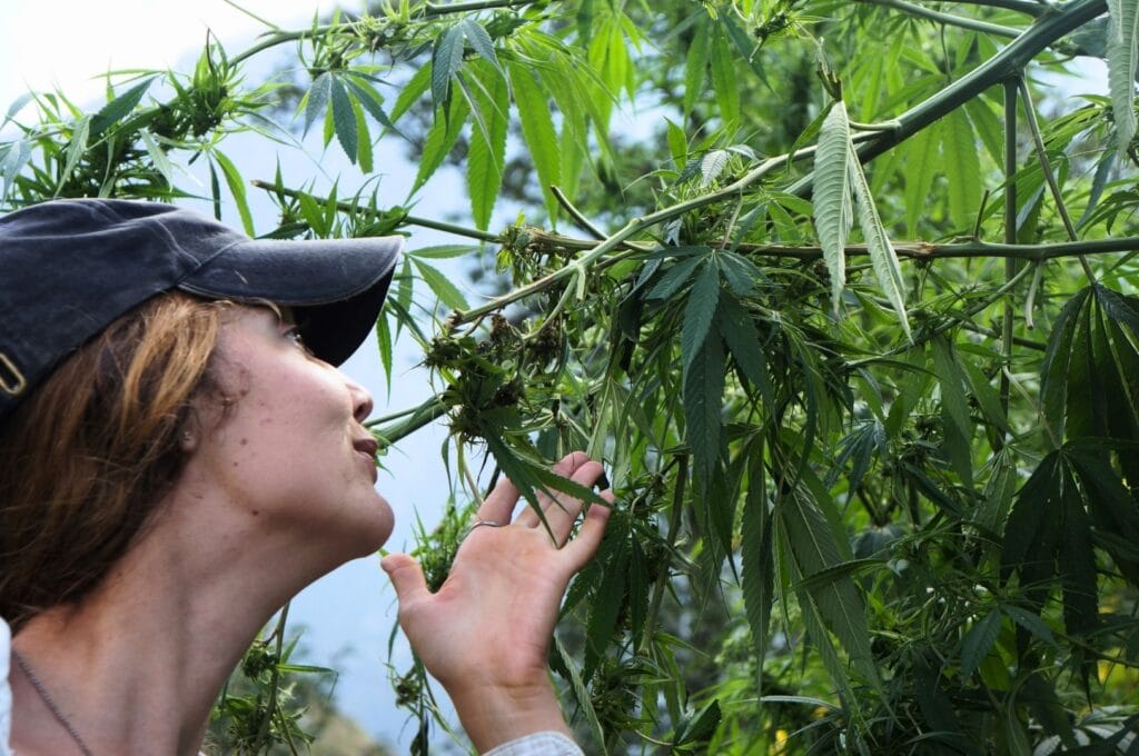 Fabienne et une feuille de cannabis sur le sentier