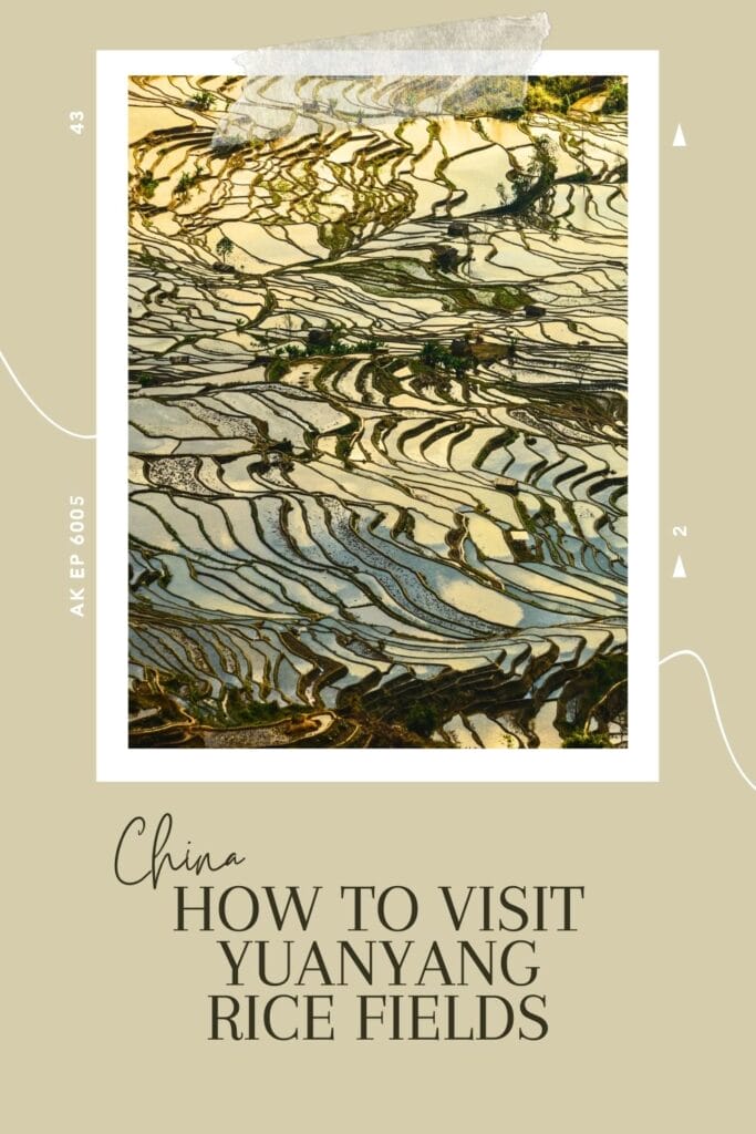 how to visit yuanyang rice fields