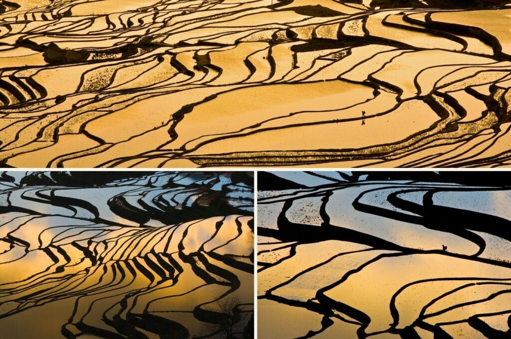 reflets des lueurs orangées du soleil dans les rizières de Yuanyang