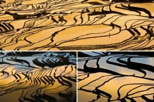 reflets des lueurs orangées du soleil dans les rizières de Yuanyang
