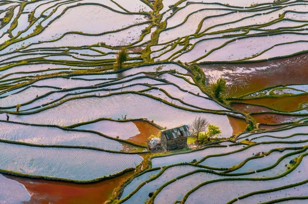 rizières en terrasses des Hani de Honghe dans le Yunnan