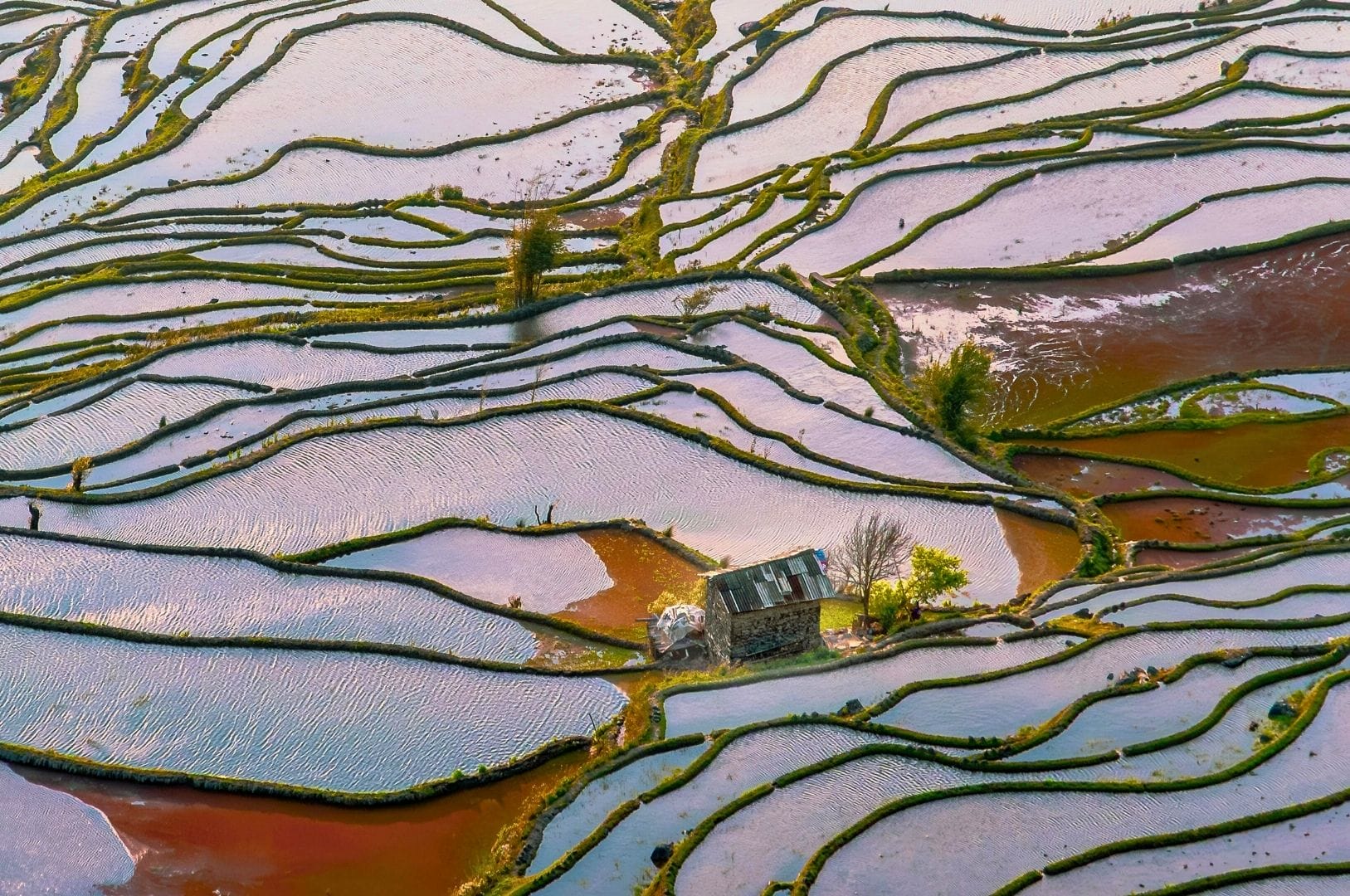 rizières en terrasses des Hani de Honghe dans le Yunnan