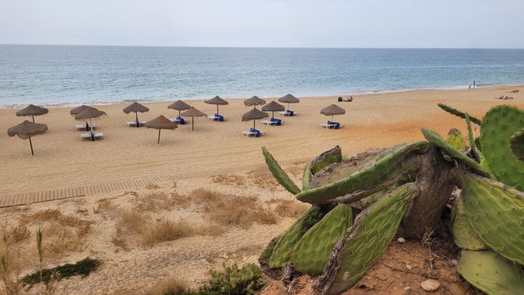 parasols praia dos tomates