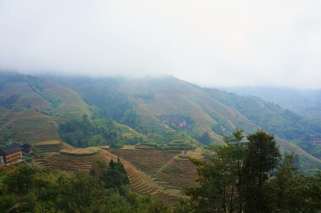les rizières de Longji dans la brume