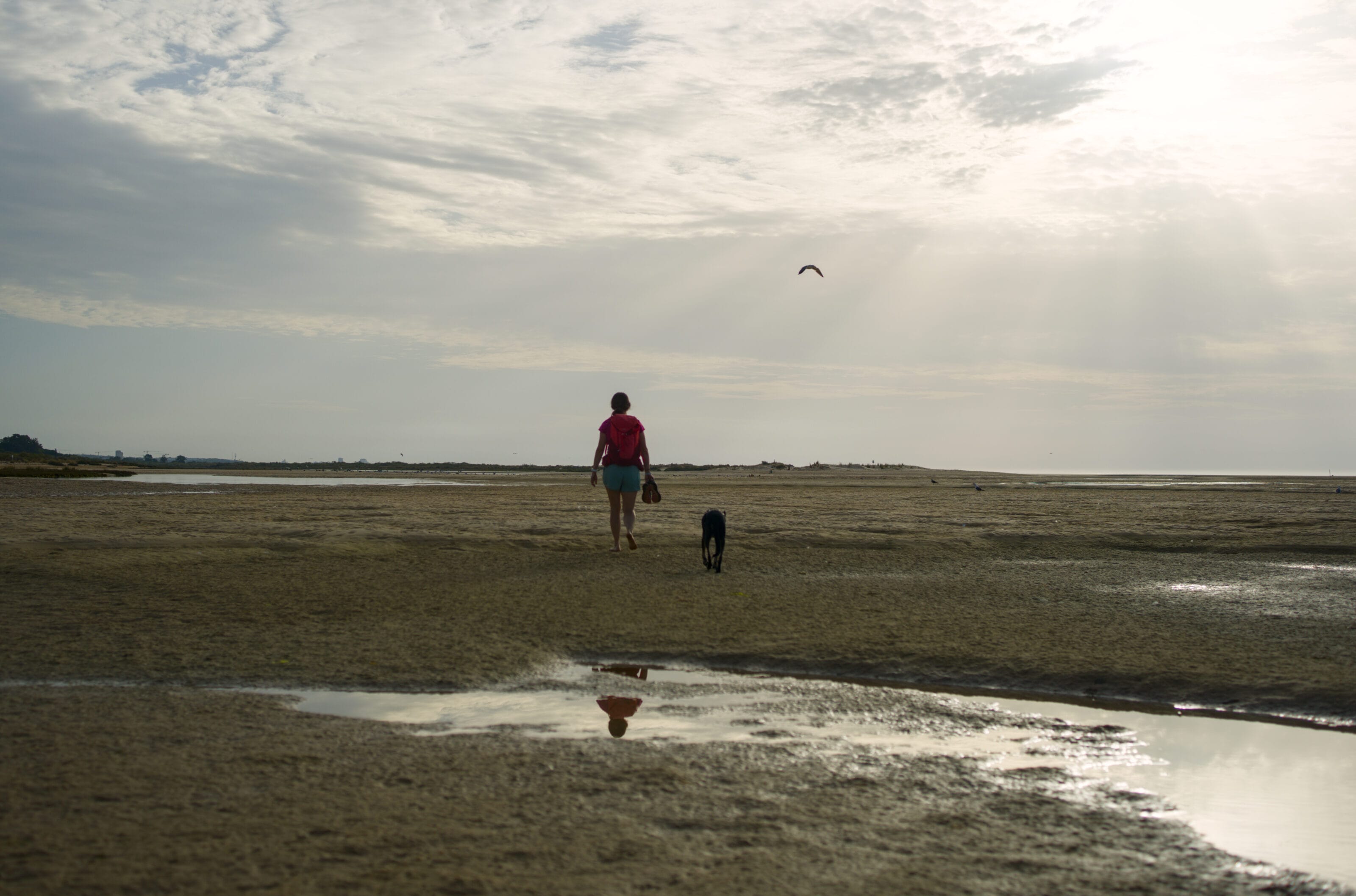 plage de cacela velha