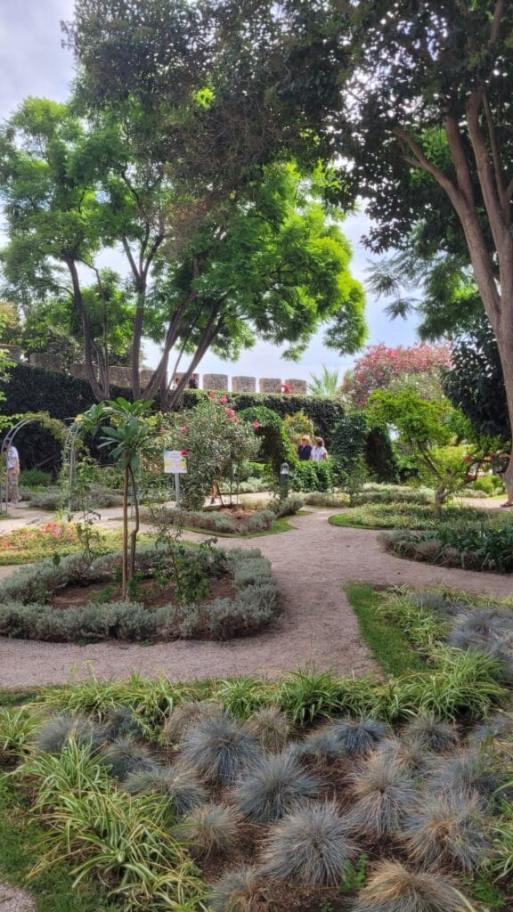 jardin tavira