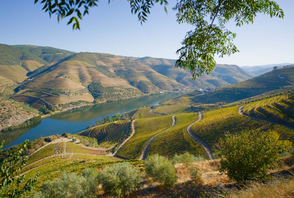 la vallée du Douro et ses vignobles