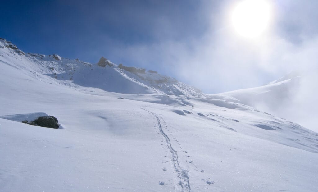 Montée de l'alpage de Tracuit