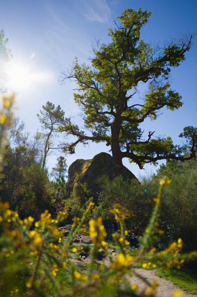 le parc national de Peneda Geres