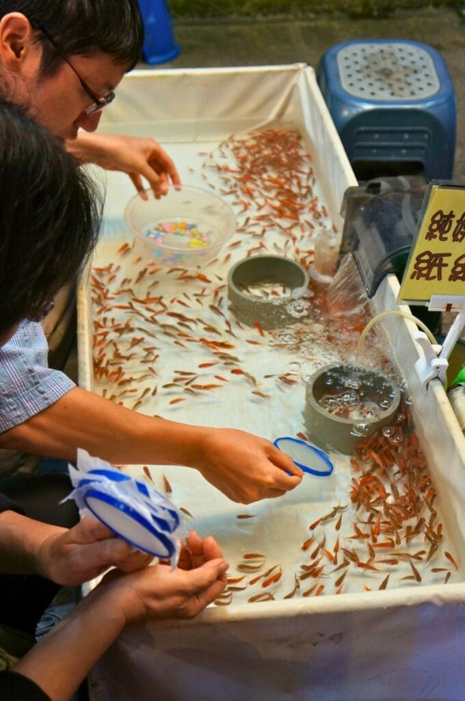bac de petits poissons vivants au marché Shilin