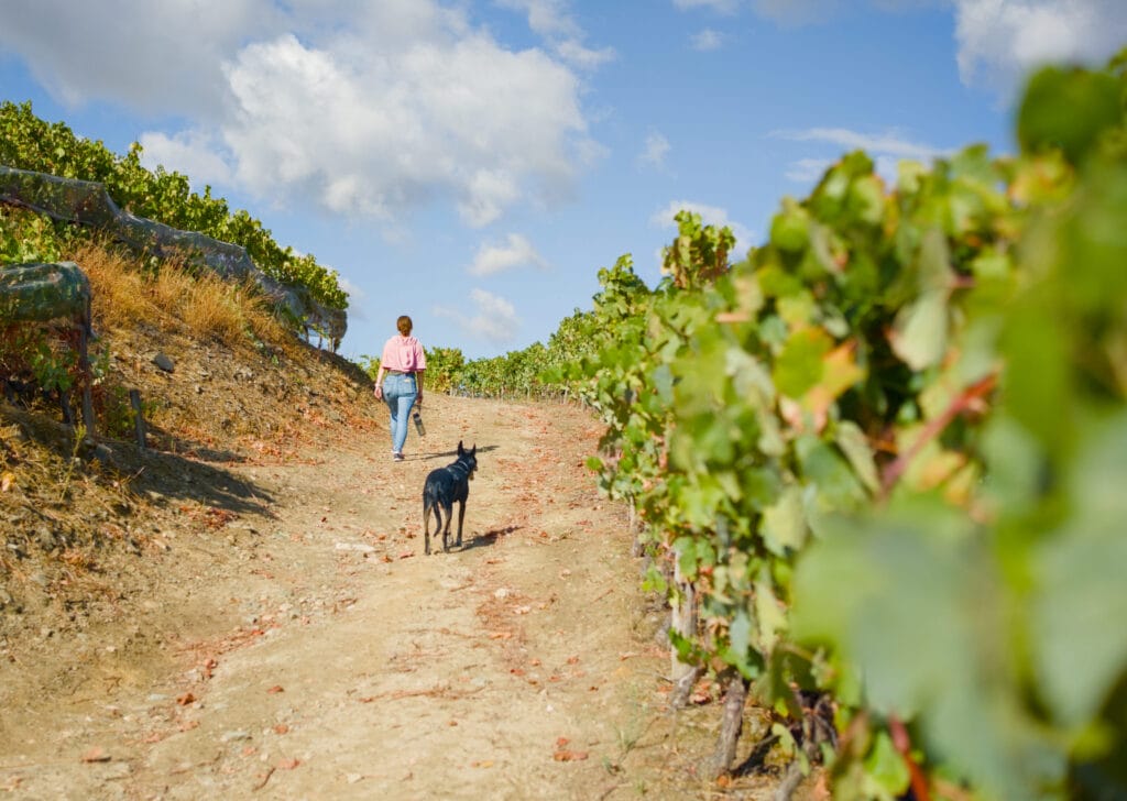 promenade vallée du douro