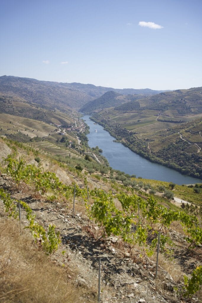 vallée du douro bateau de croisière