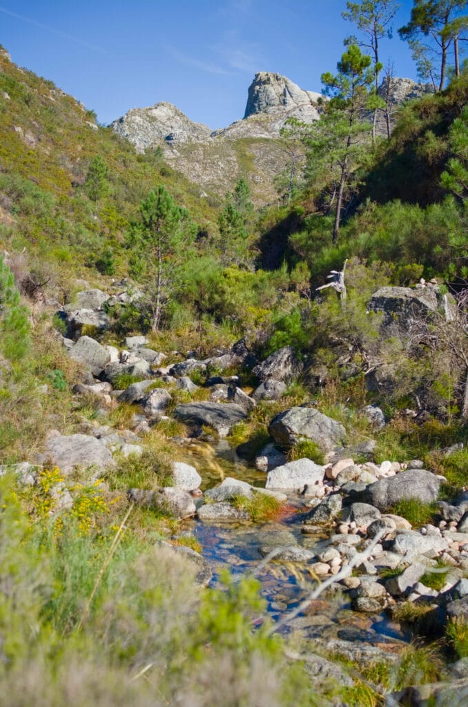 parc national europe