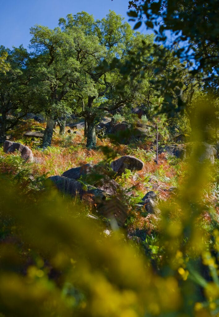 randonnée peneda geres