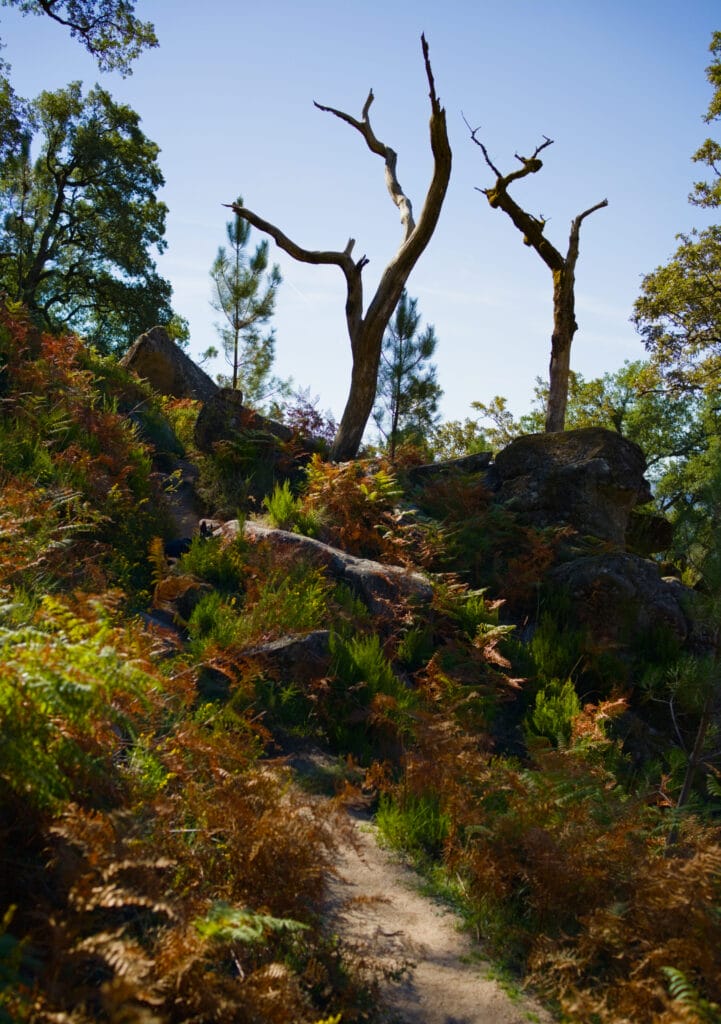 paysages parc national portugal