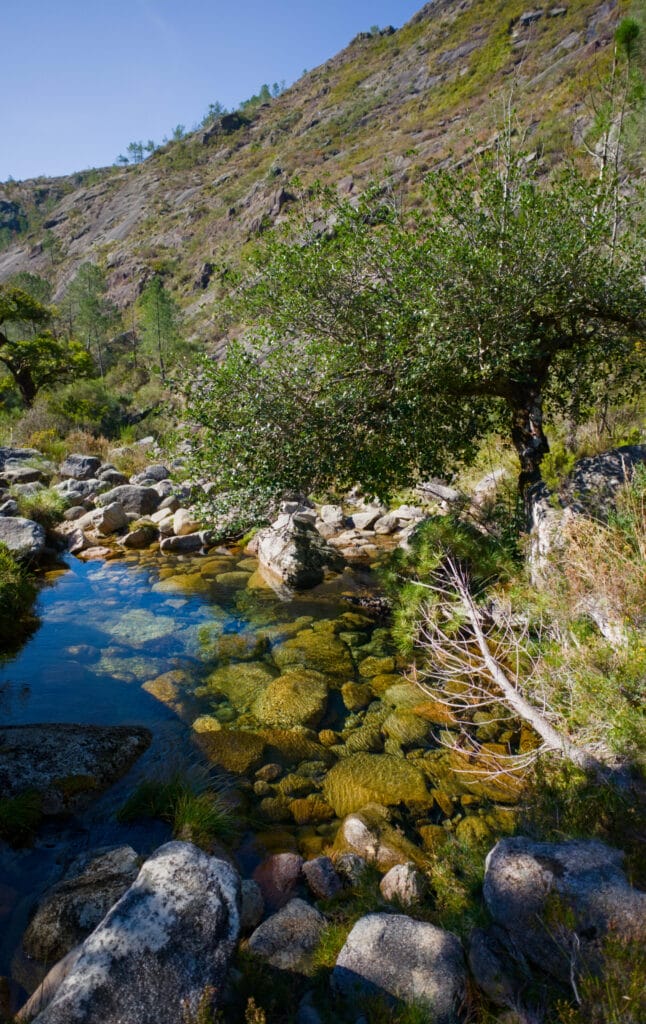 rivière poço azul, portugal