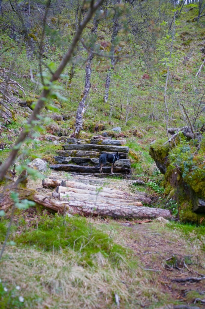 escalier hellandsnute
