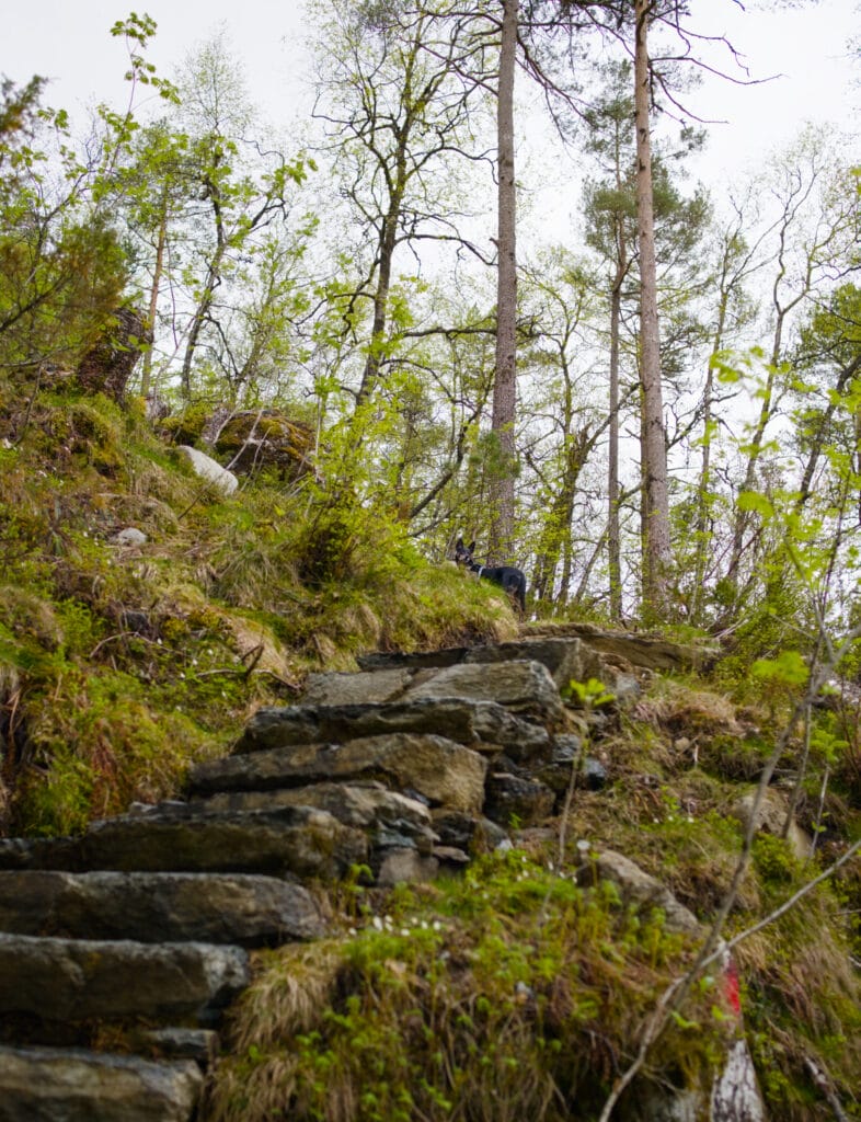 escalier en pierres, norvège