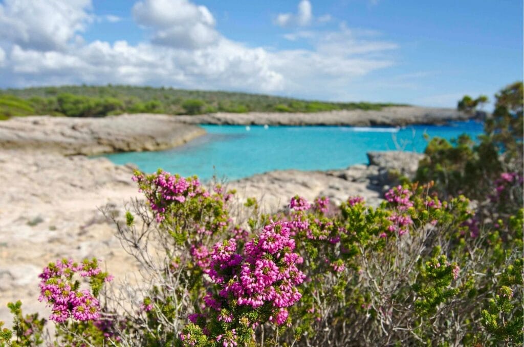 Crique Cala des Talaier à Minorque