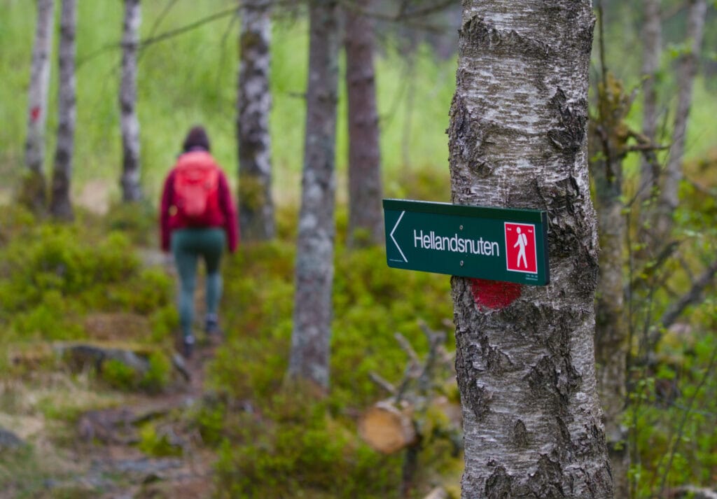 Rogaland Hike