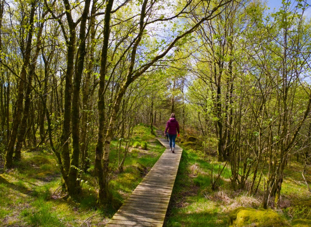 randonnée à Hestnes en Norvège