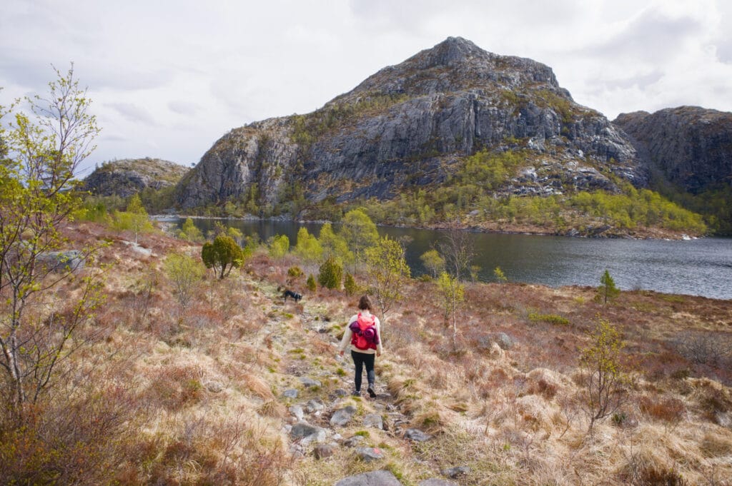 lac selvigstakken