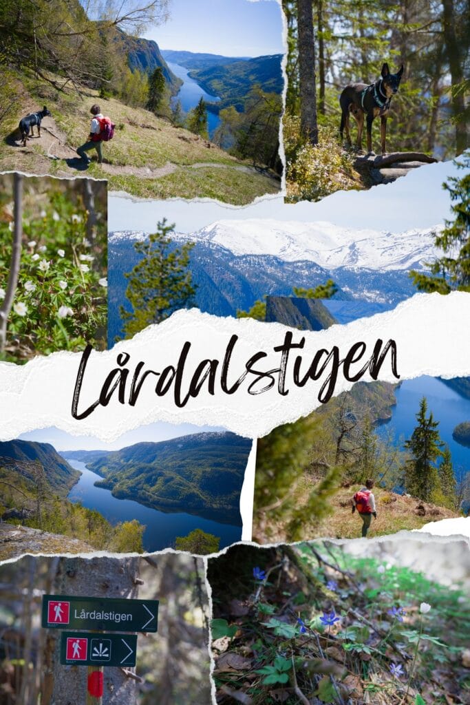 rando du Lardalstigen en Norvège