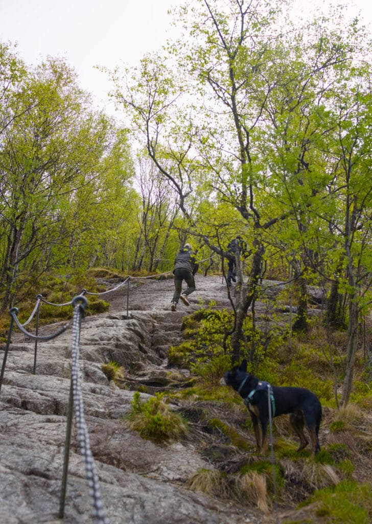 escalier-manafossen