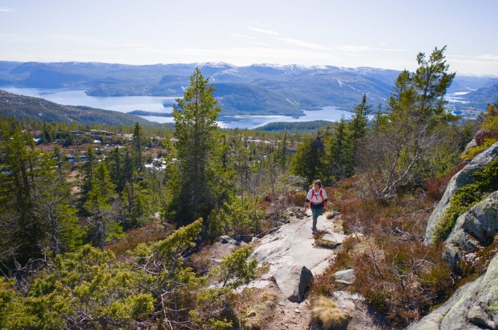 montée au Venelifjell dans le Telemark