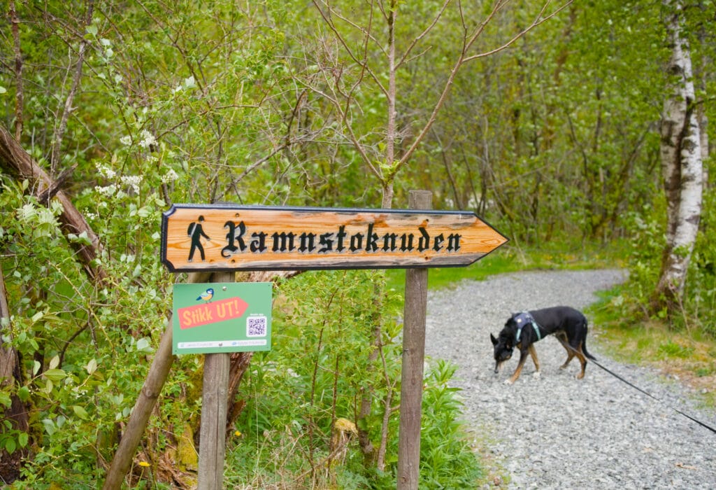 ramnsotknuten