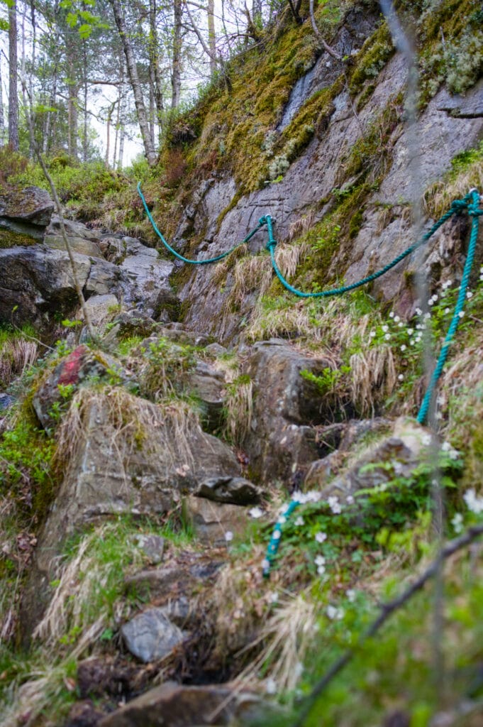 cordes hellandsnuten