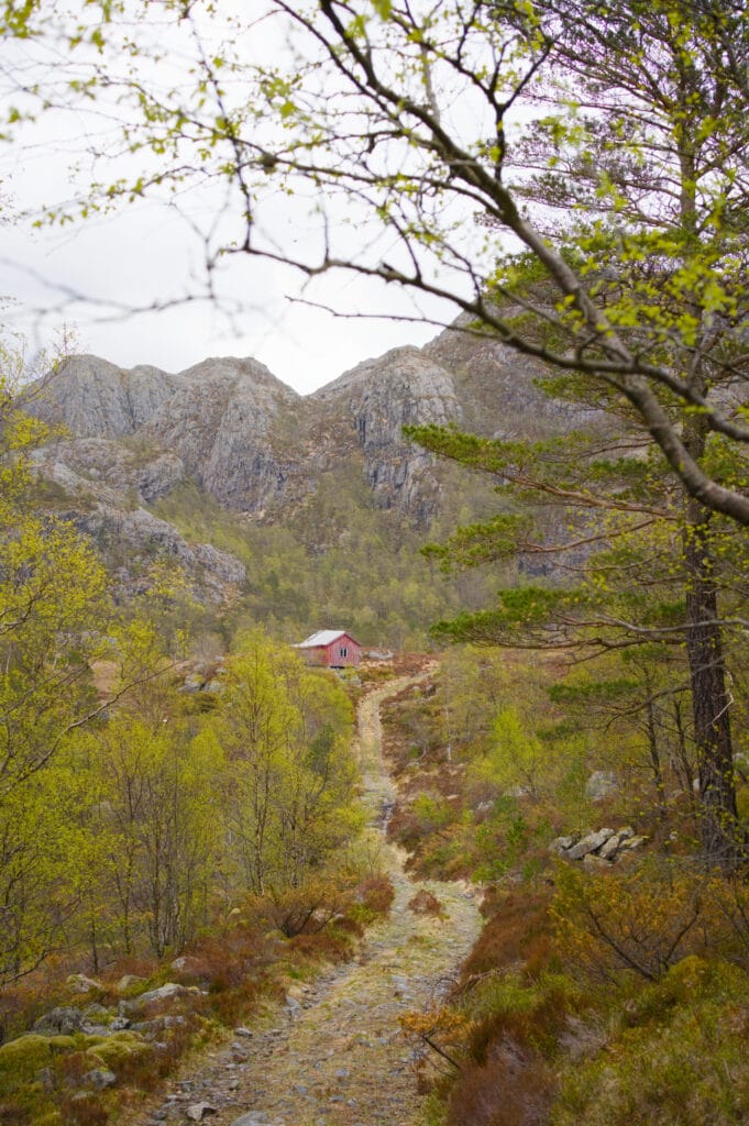 piste selvigstakken