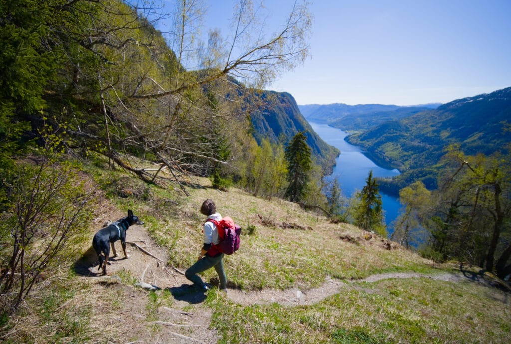 urdalen sur le Lardalstigen