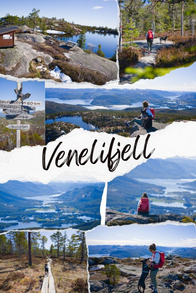 rando au sommet du Venelifjell dans le Telemark