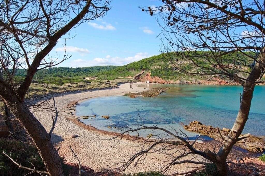 view of Algaiarens Beach