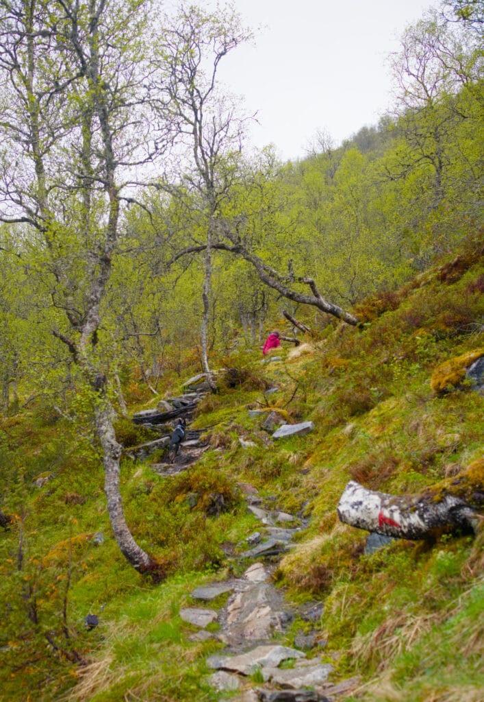 sentier de hamnanova