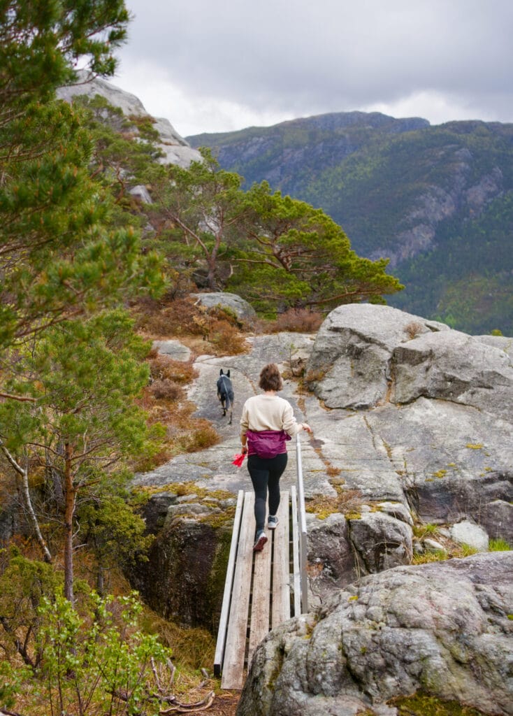 petite passerelle bien pratique