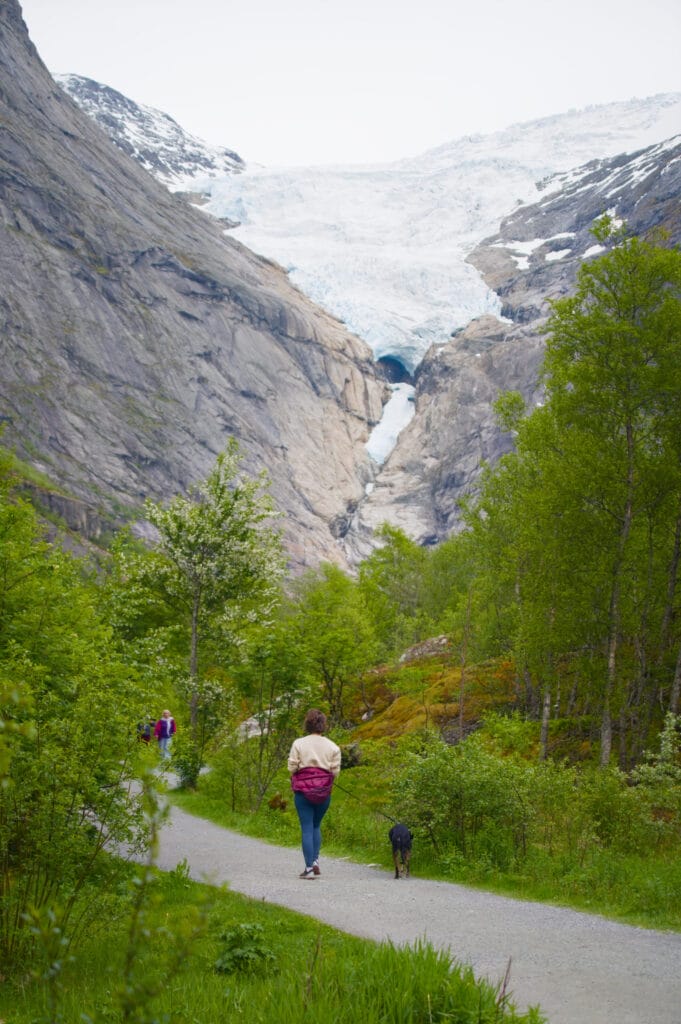 marcher jusqu'au glacier de Briksdal